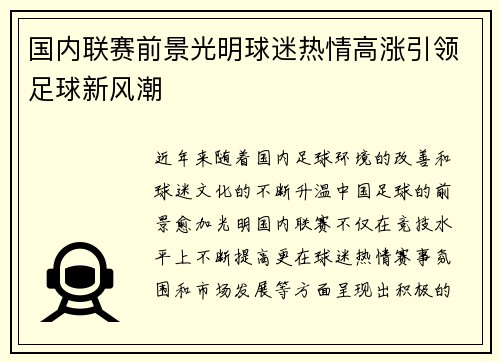 国内联赛前景光明球迷热情高涨引领足球新风潮