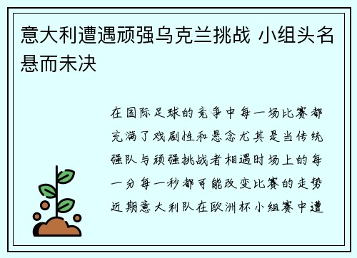 意大利遭遇顽强乌克兰挑战 小组头名悬而未决